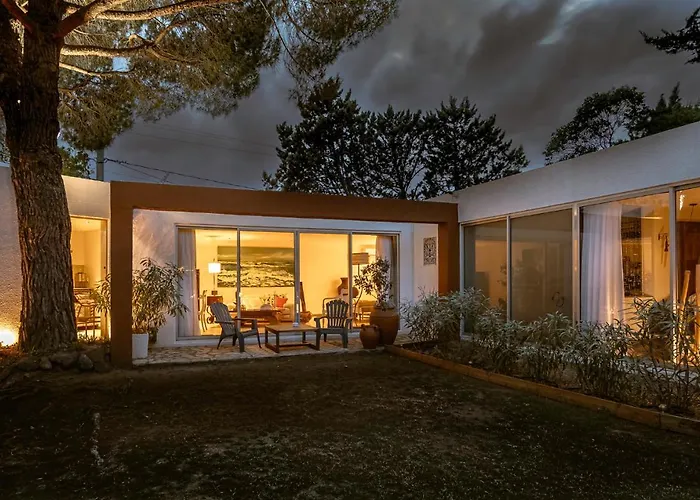 La cactée singulière